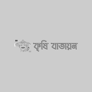 বেগুন